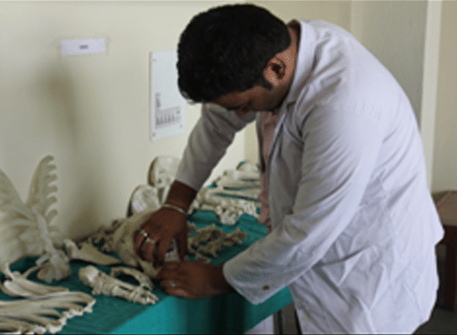 Guru Nanak Khalsa Group of Educational Institutions Yamuna Nagar Academic Facilities photo 19